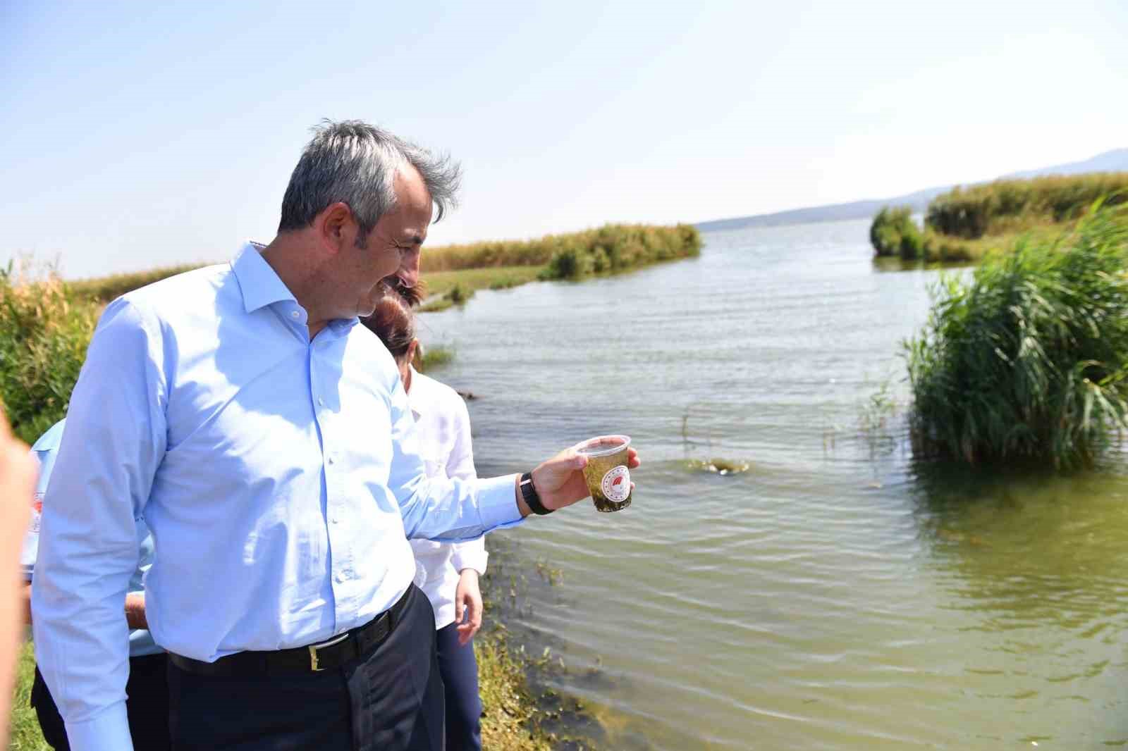 10 milyon yavru sazan suya bırakıldı
