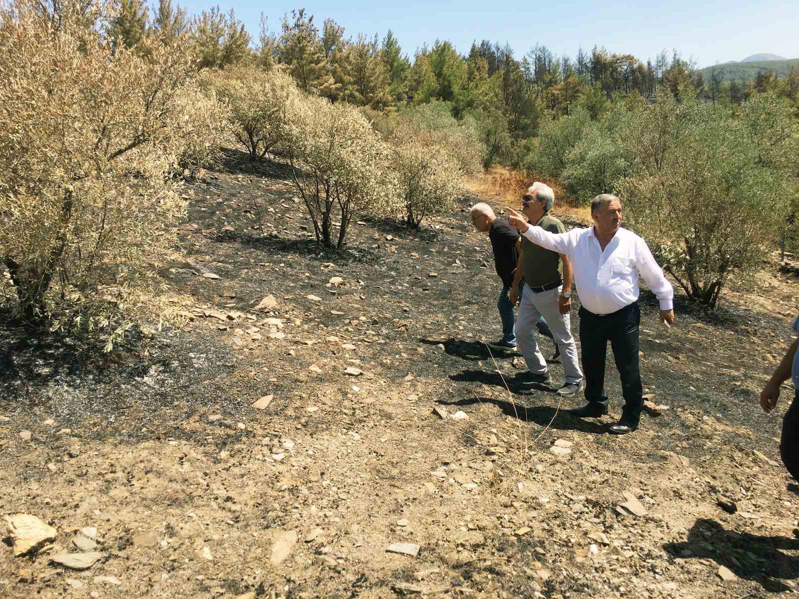 Baştuğ, Yatağan’da yanan zeytinlik alanlarda incelemelerde bulundu
