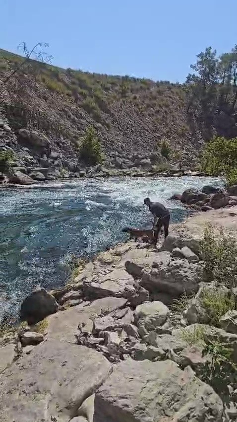 Irmakta kaybolan genci arama çalışmaları sürüyor
