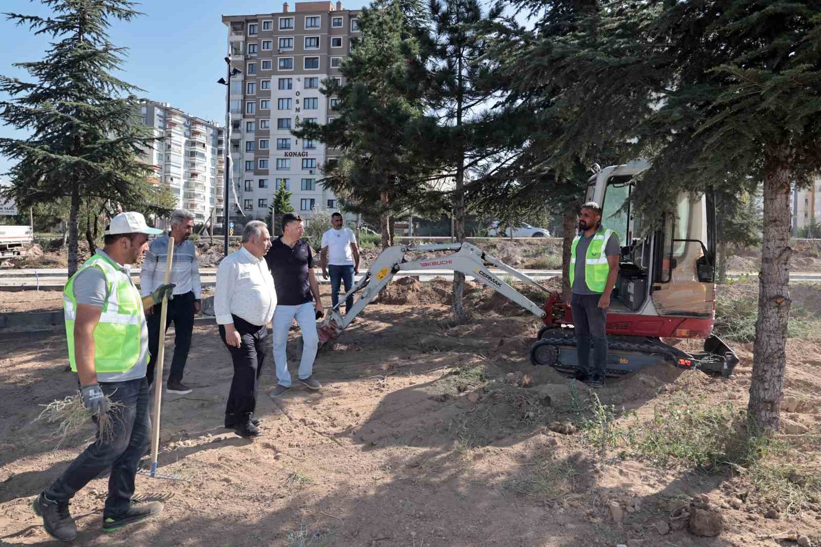 Talas Millet Bahçesi ışıl ışıl
