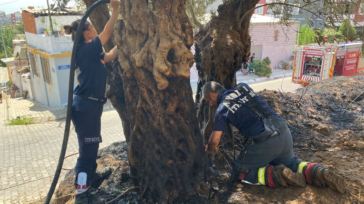 Alevlerin antik kente ulaşmasını itfaiye ekiplerinin hızlı müdahalesi önledi
