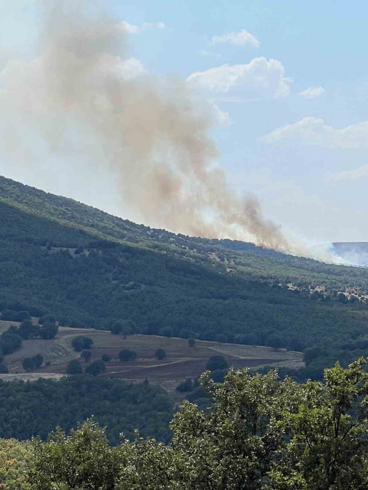 Anız yangını ormana sıçradı: 20 hektarlık alan yandı
