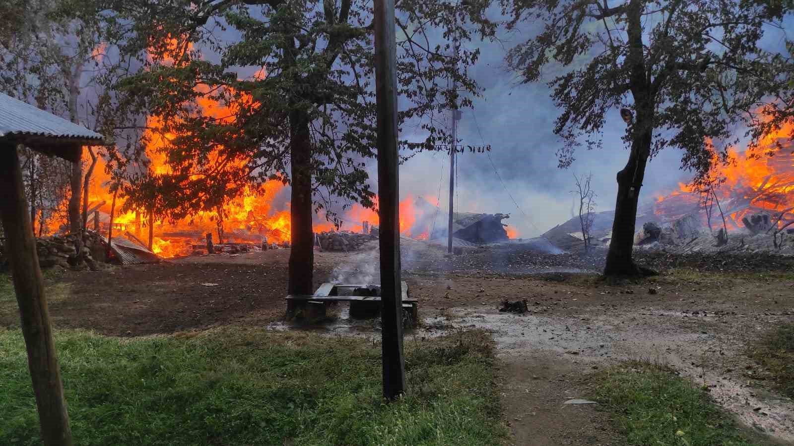 Şavşat’ta yangın: 3 ev kullanılamaz hale geldi
