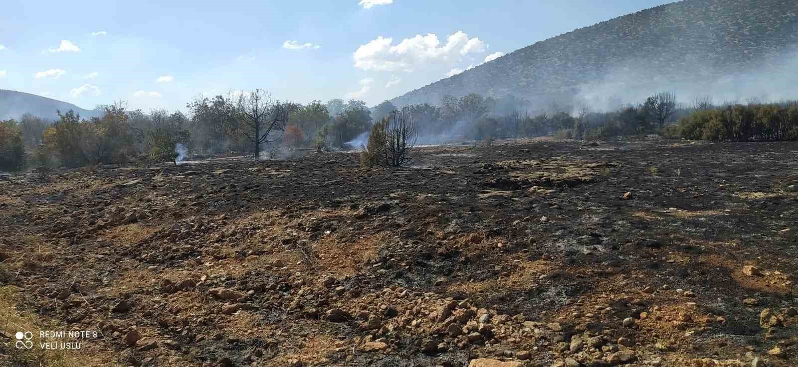 Isparta’da çıkan orman yangını ekiplerin hızlı müdahalesiyle söndürüldü
