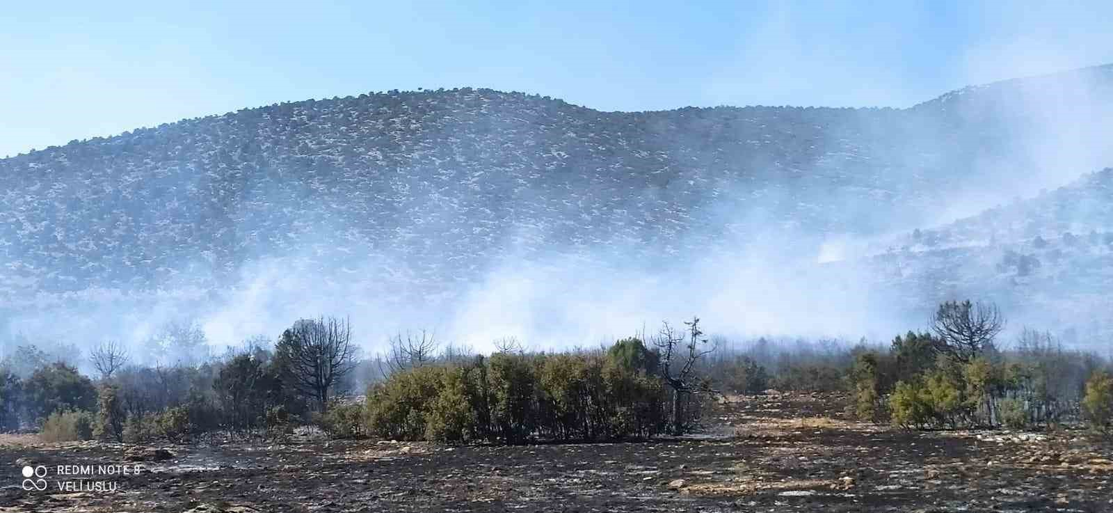 Isparta’da çıkan orman yangını ekiplerin hızlı müdahalesiyle söndürüldü
