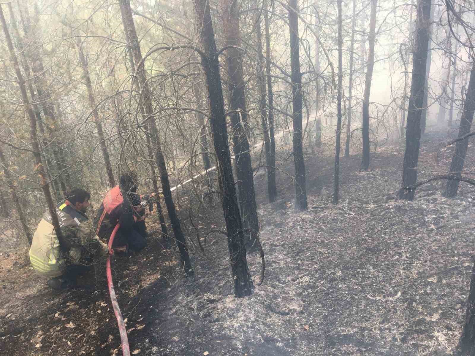 Çamlıdere’deki ot yangını ormanlık alana sıçradı
