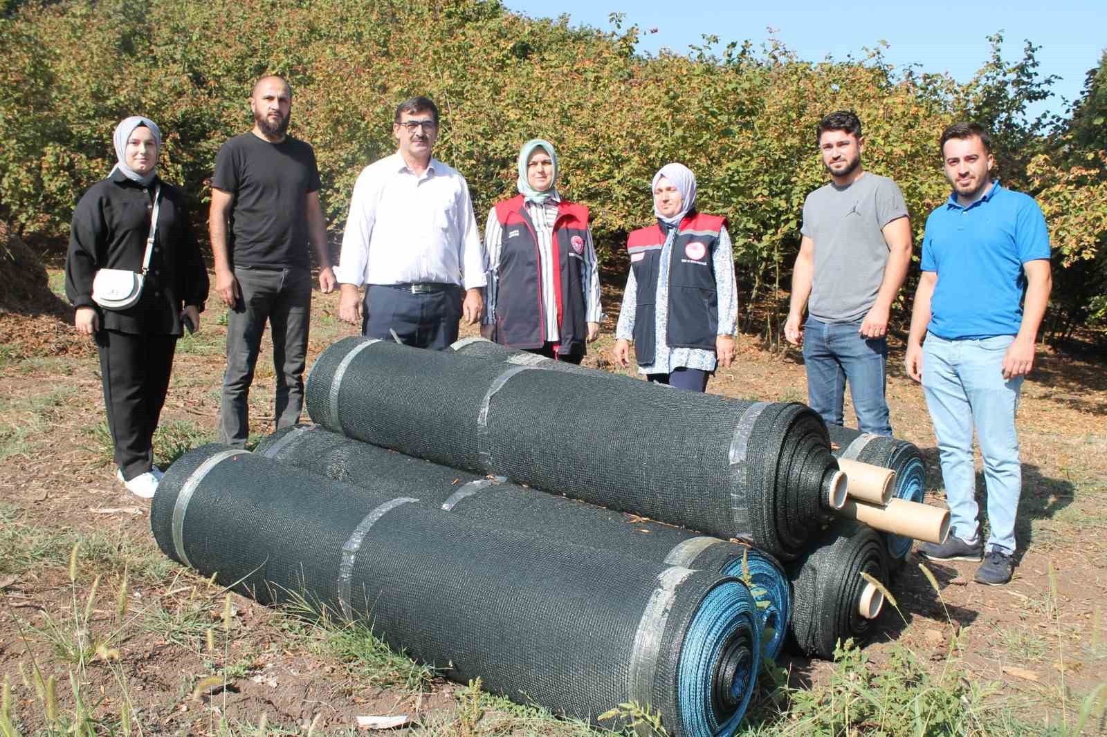 Fındıkta fileyle hasat maliyetleri düşürüyor
