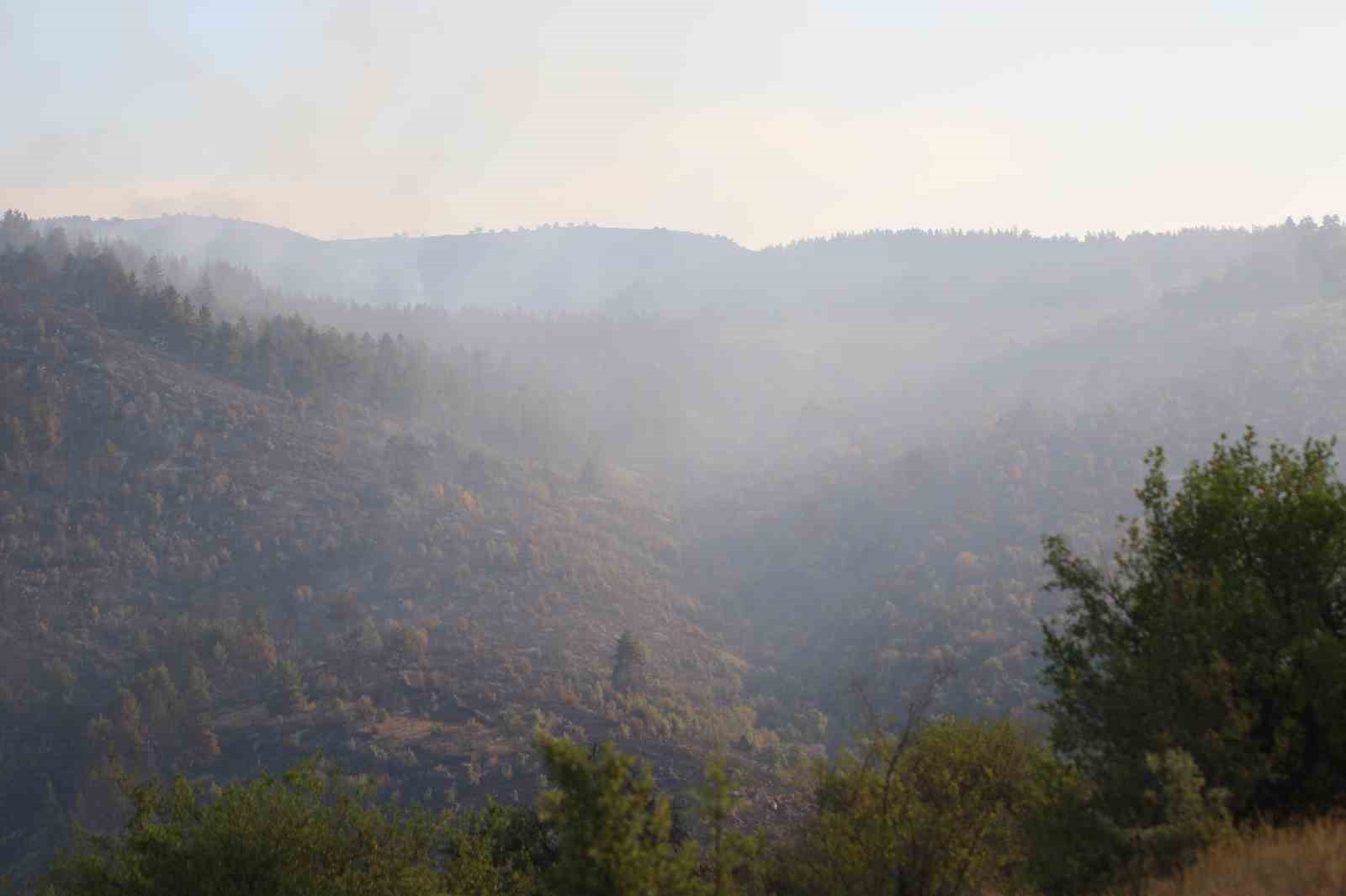 Ankara-Bolu sınırındaki yangına günün ilk ışıklarıyla havadan müdahale başladı
