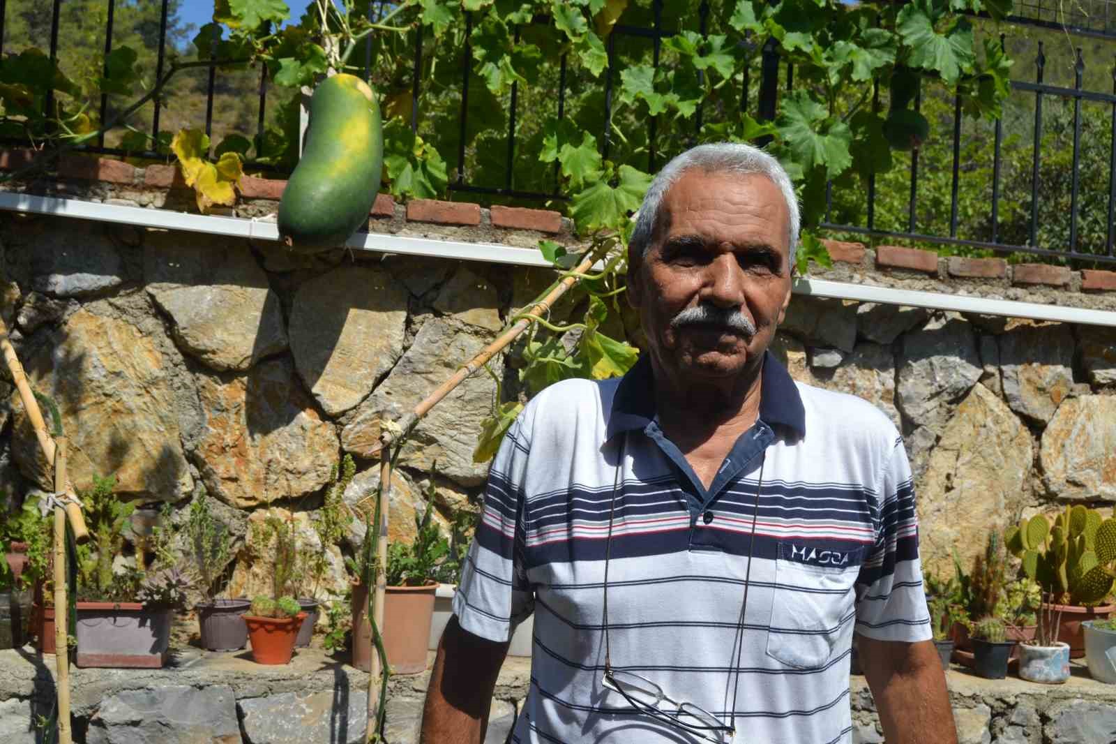 Fethiye Huzurevi’nde dev salatalık yetiştirdi
