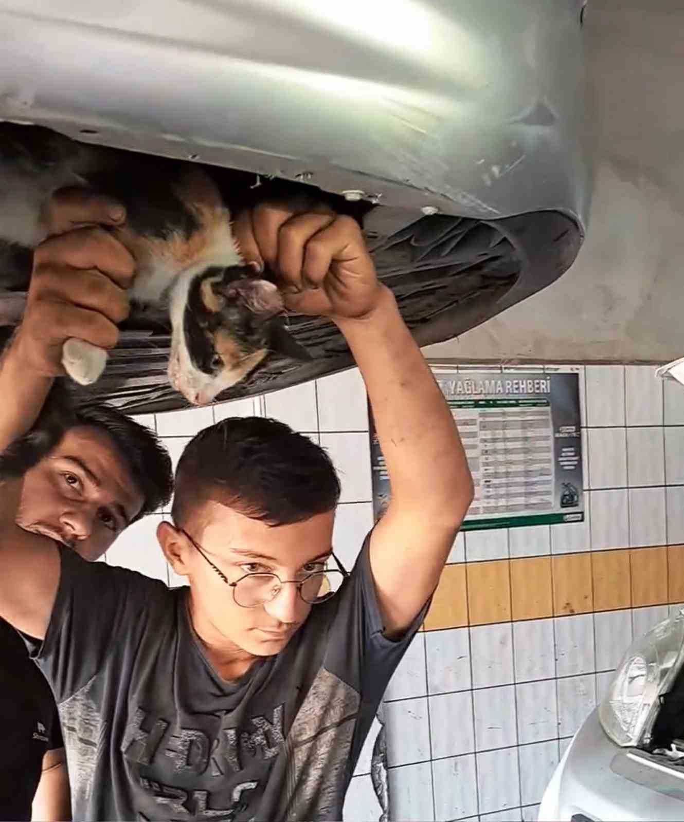 Otomobilin motoruna sıkışan kedi için seferber oldular
