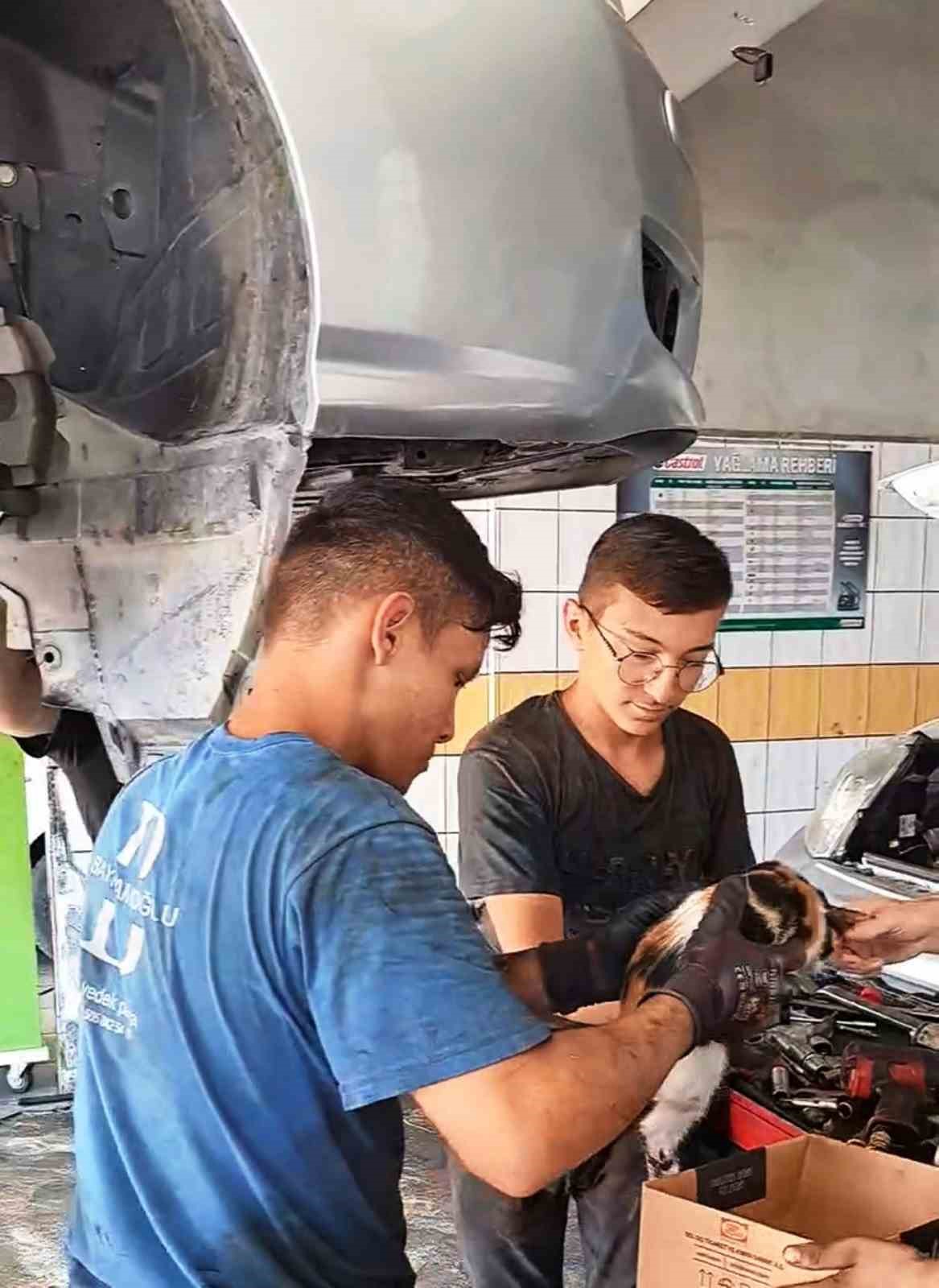 Otomobilin motoruna sıkışan kedi için seferber oldular
