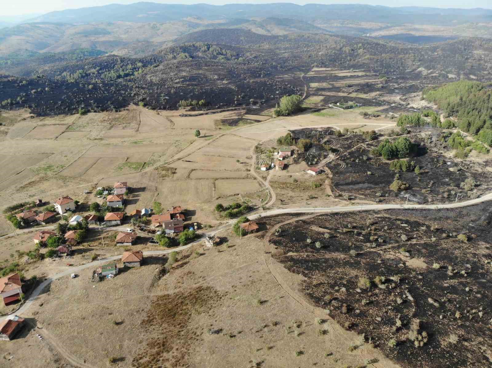 Ankara-Bolu sınırında yanan bölge dronla görüntülendi
