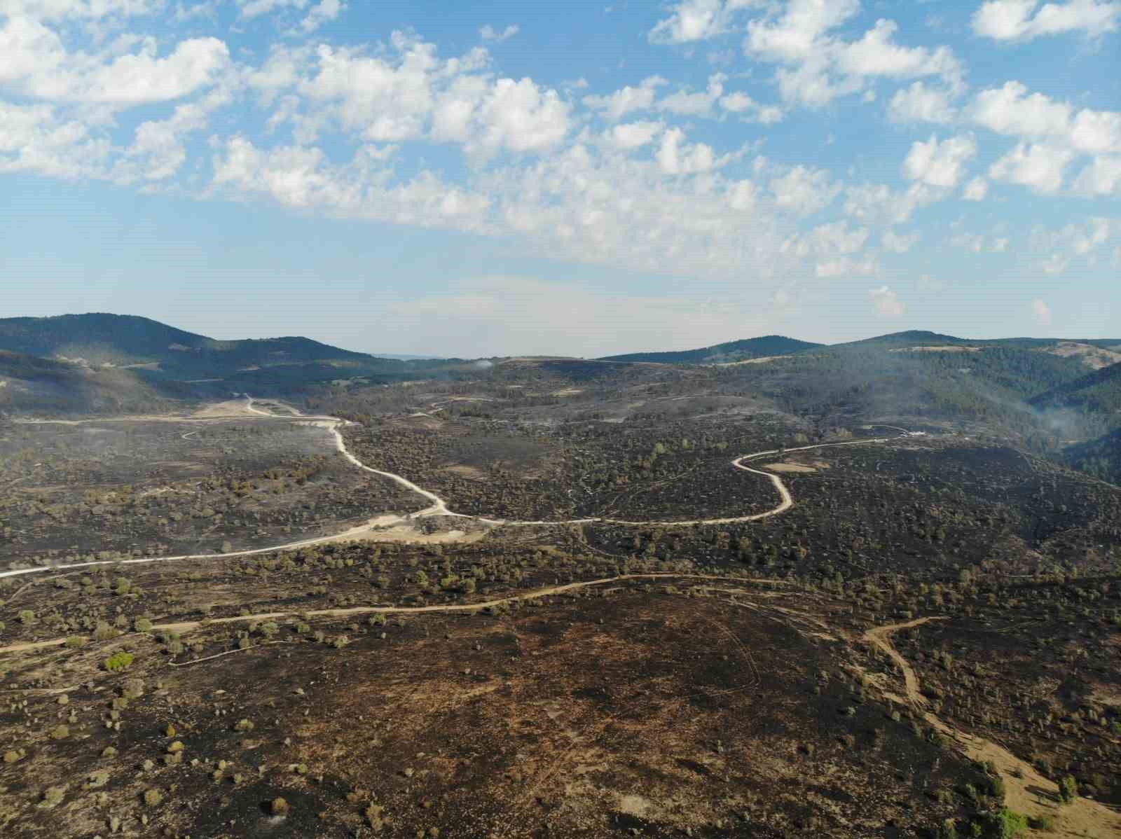 Ankara-Bolu sınırında yanan bölge dronla görüntülendi
