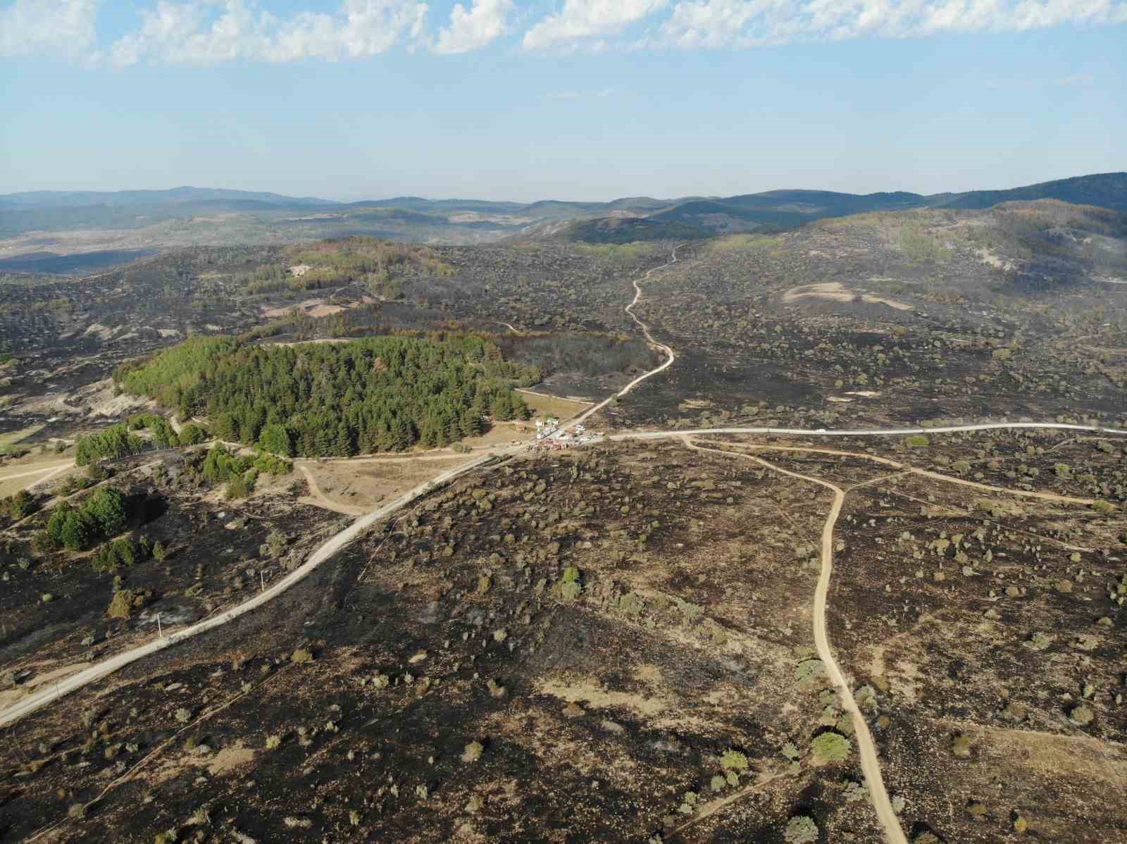 Ankara-Bolu sınırında yanan bölge dronla görüntülendi
