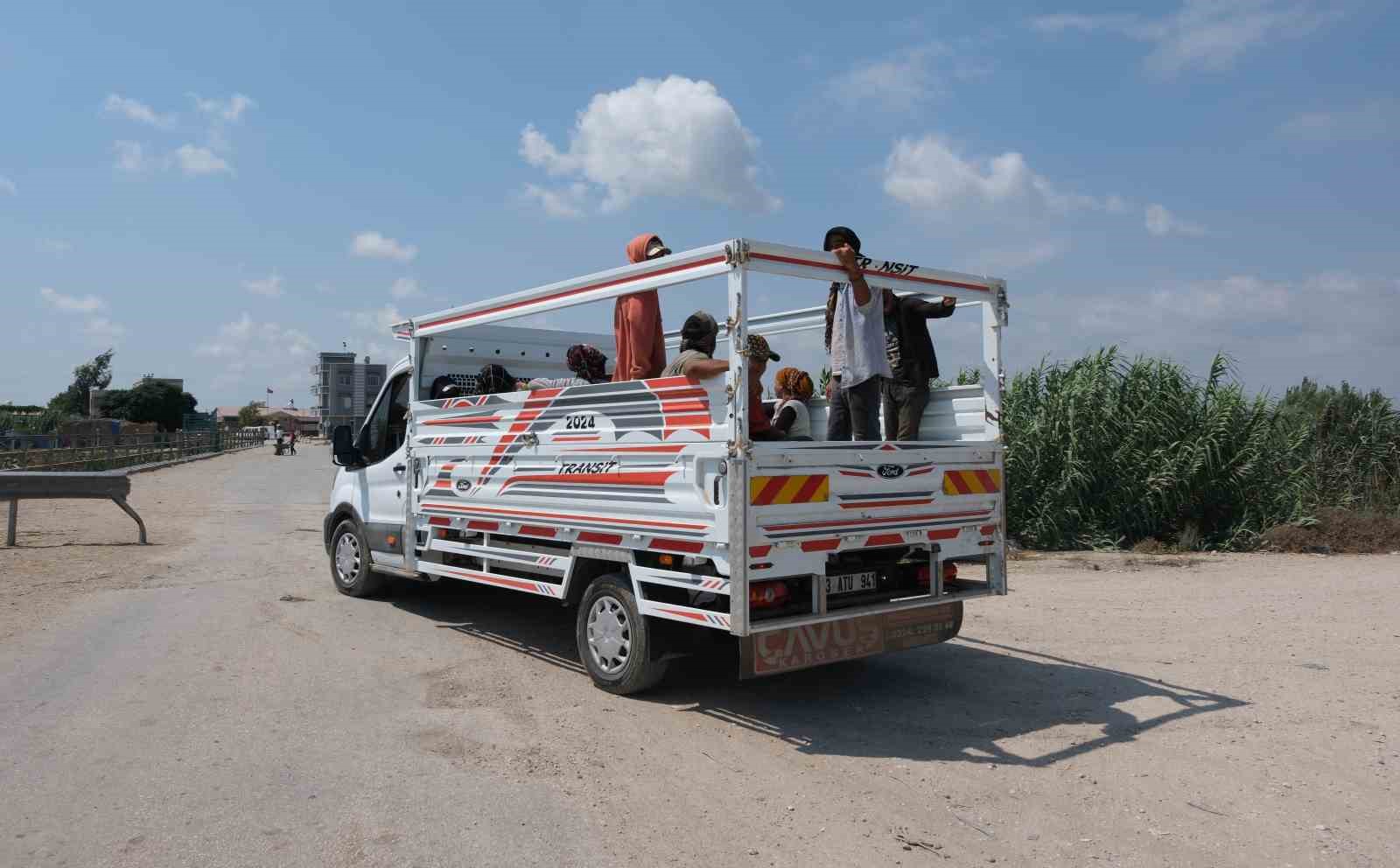 Adana’da mevsimlik tarım işçilerine yönelik alan taraması gerçekleştirildi
