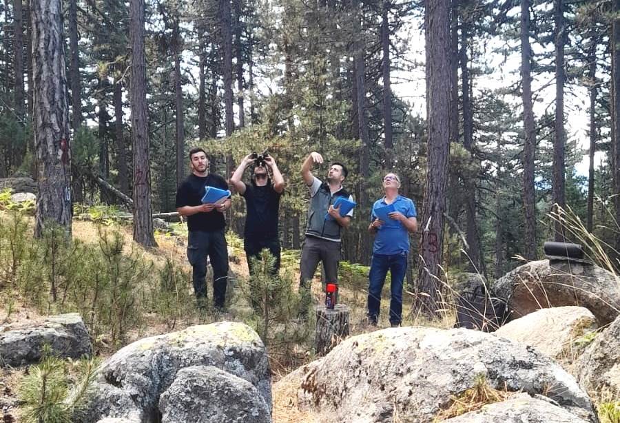 Kütahya’da hava kirliliği etkilerinin değerlendirilmesi için ormanlar gözlemleniyor
