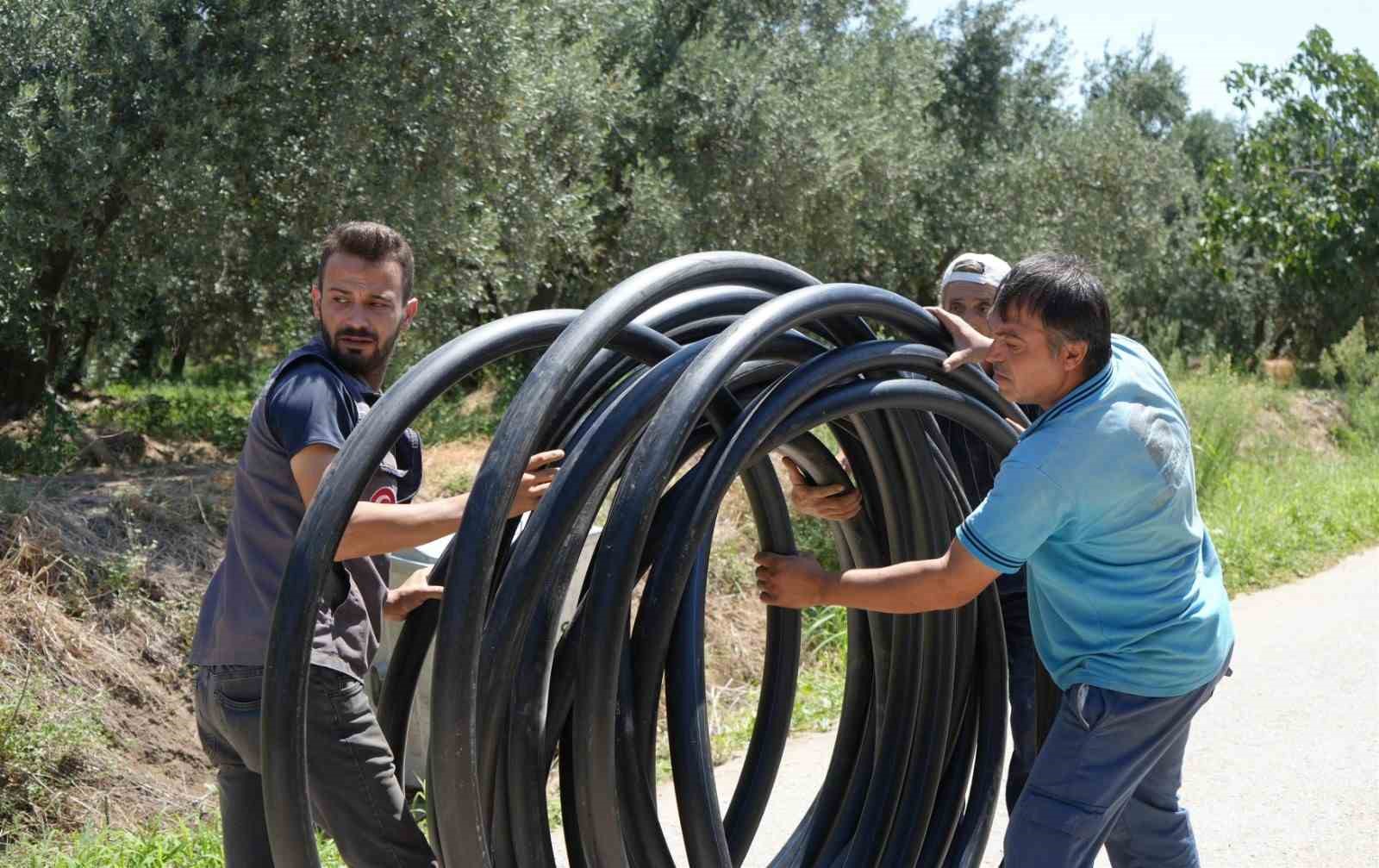 Balıkesir’de, 80 bin zeytin ağacı suyla buluştu
