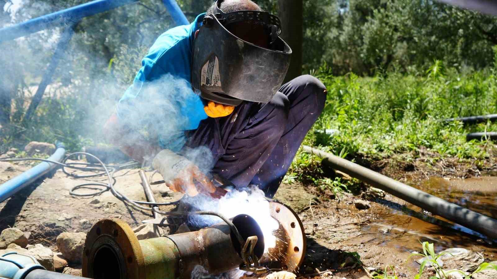 Balıkesir’de, 80 bin zeytin ağacı suyla buluştu
