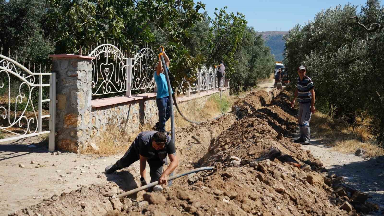 Balıkesir’de, 80 bin zeytin ağacı suyla buluştu
