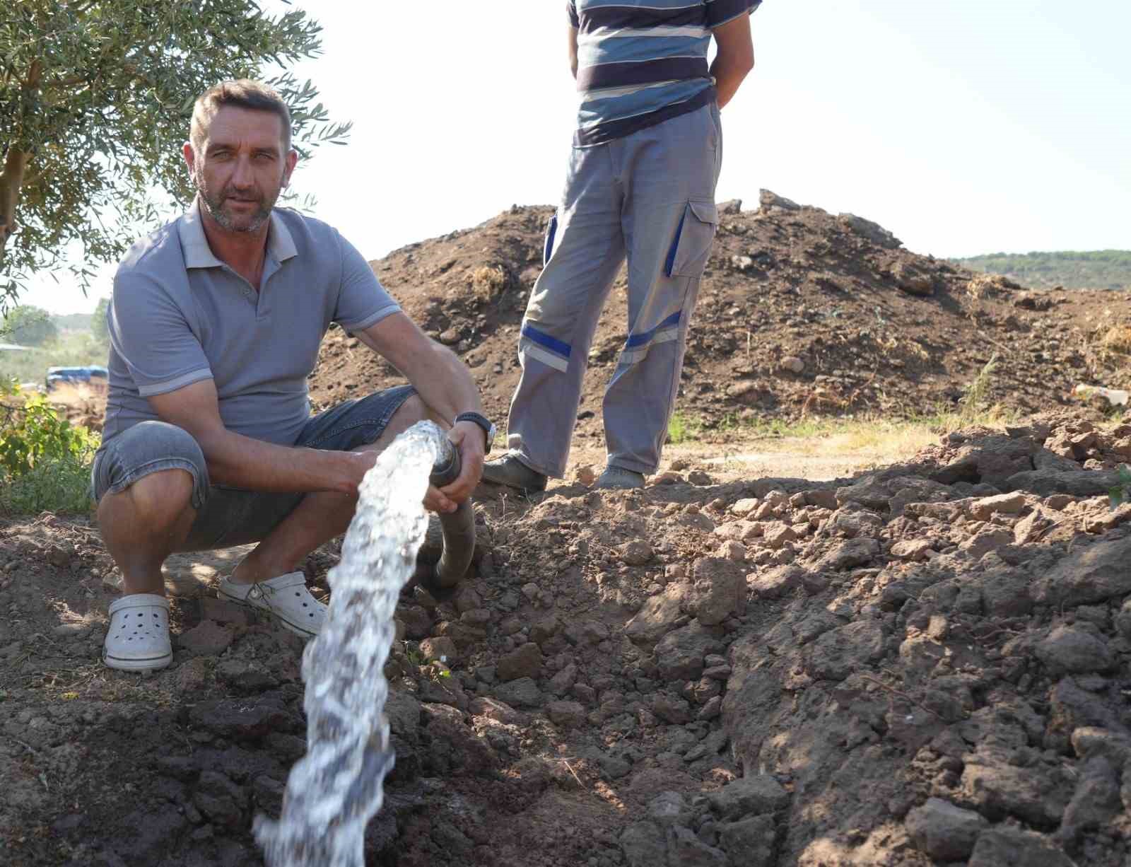 Balıkesir’de, 80 bin zeytin ağacı suyla buluştu
