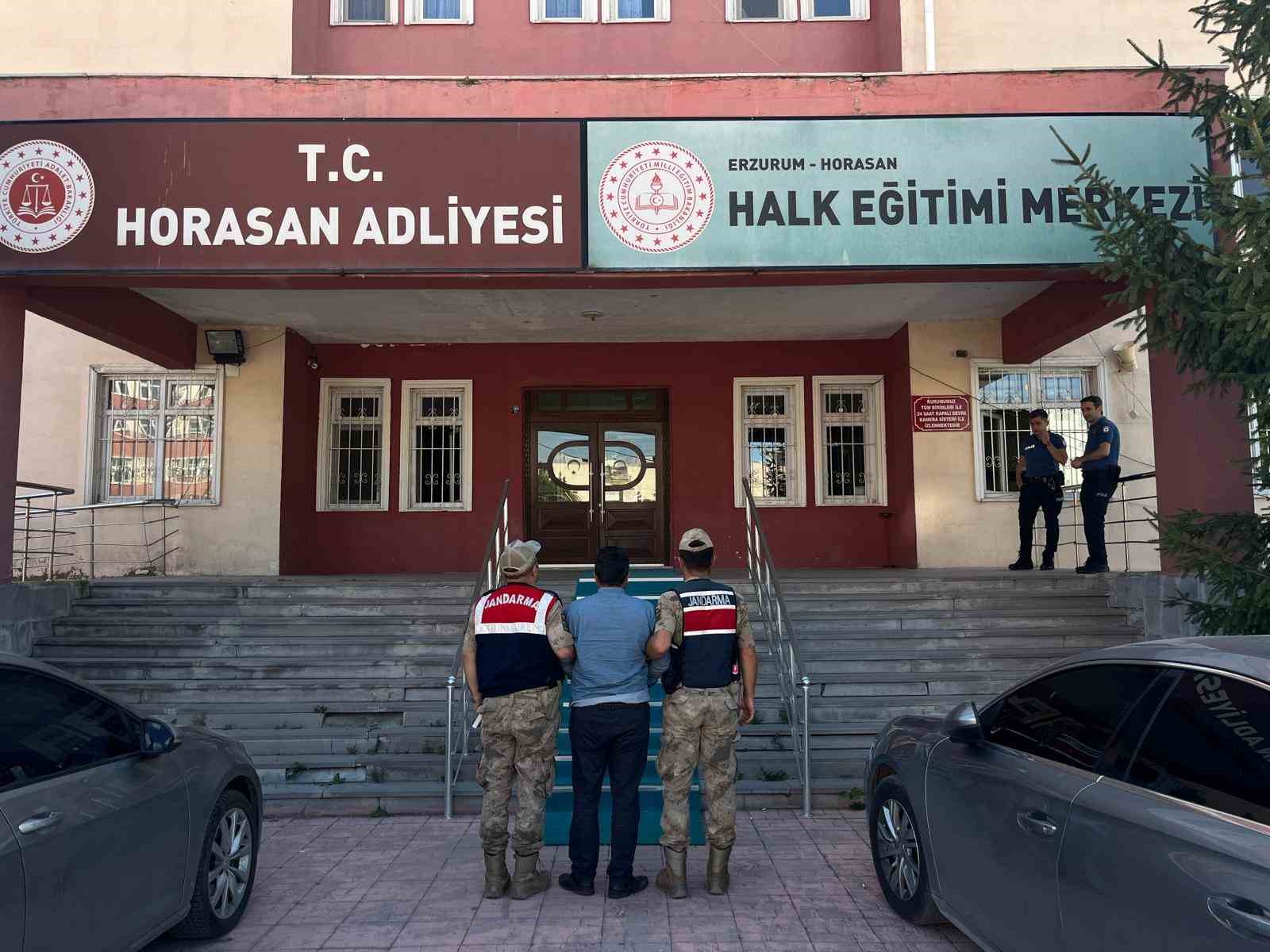 Büyükbaş hayvan hırsızları jandarmadan kaçamadı
