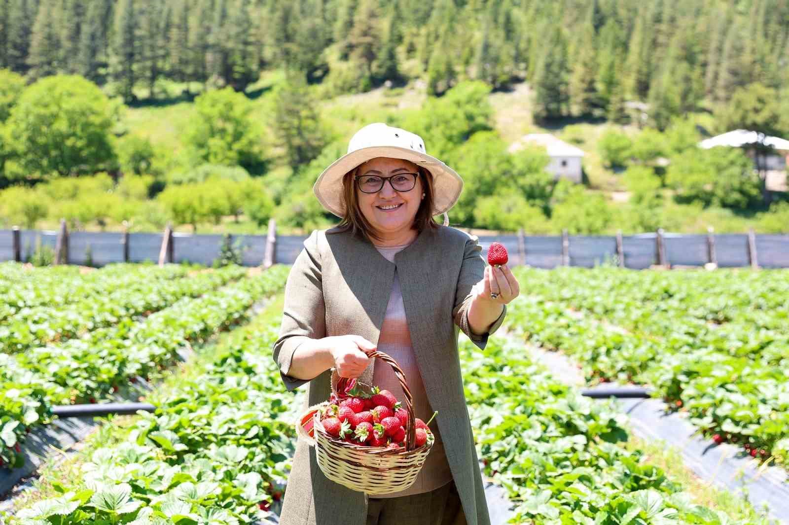 Çiftçiye 8 milyon 432 bin 925 litre mazot desteği verildi
