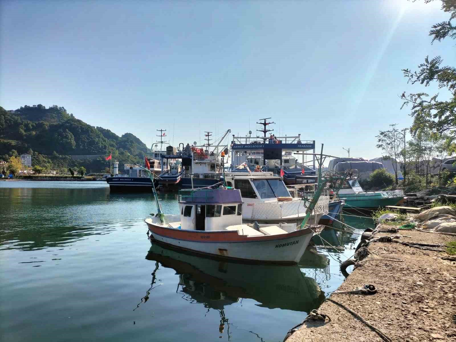 Ordulu balıkçılar, yeni sezonda palamuttan umutlu
