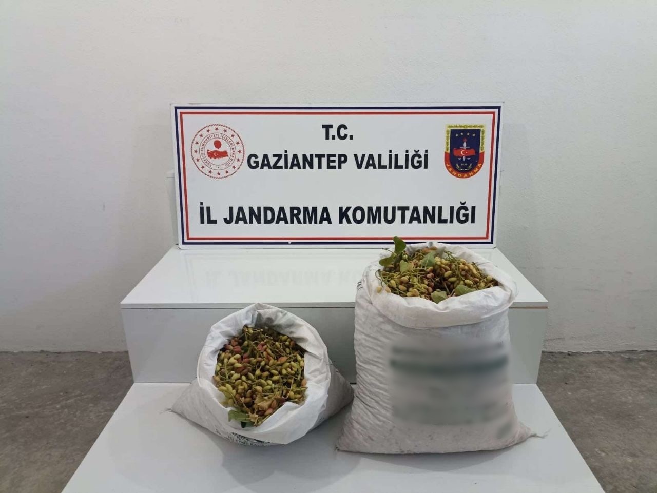 Gaziantep’te 515 kilo Antep fıstığı çalan 2 şüpheli suçüstü yakalandı
