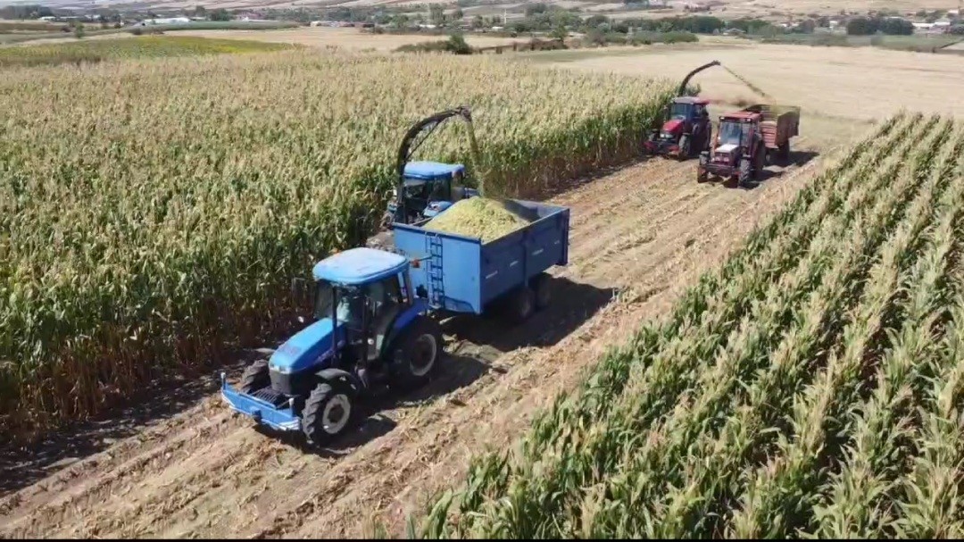 Silajlık mısır hasadı Babaeski’de başladı
