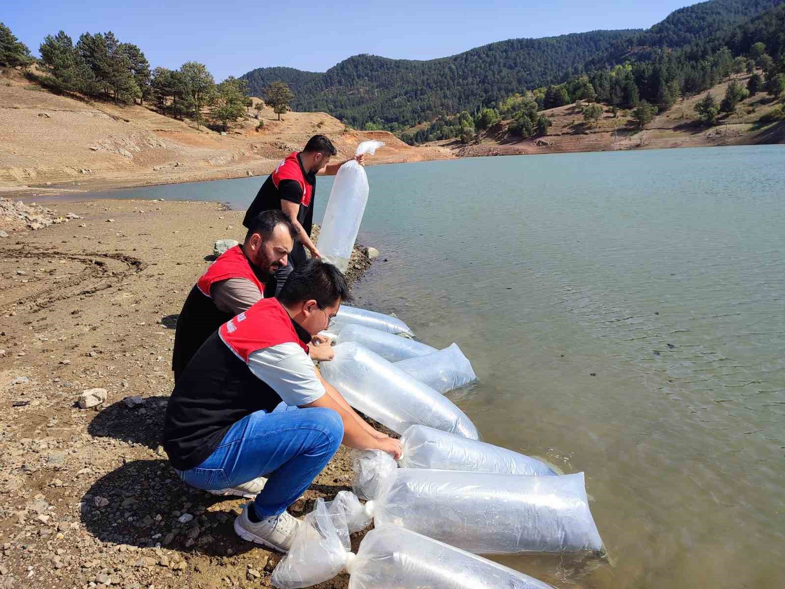 Kayalar göletine 50 sazan balığı yavrusu salındı
