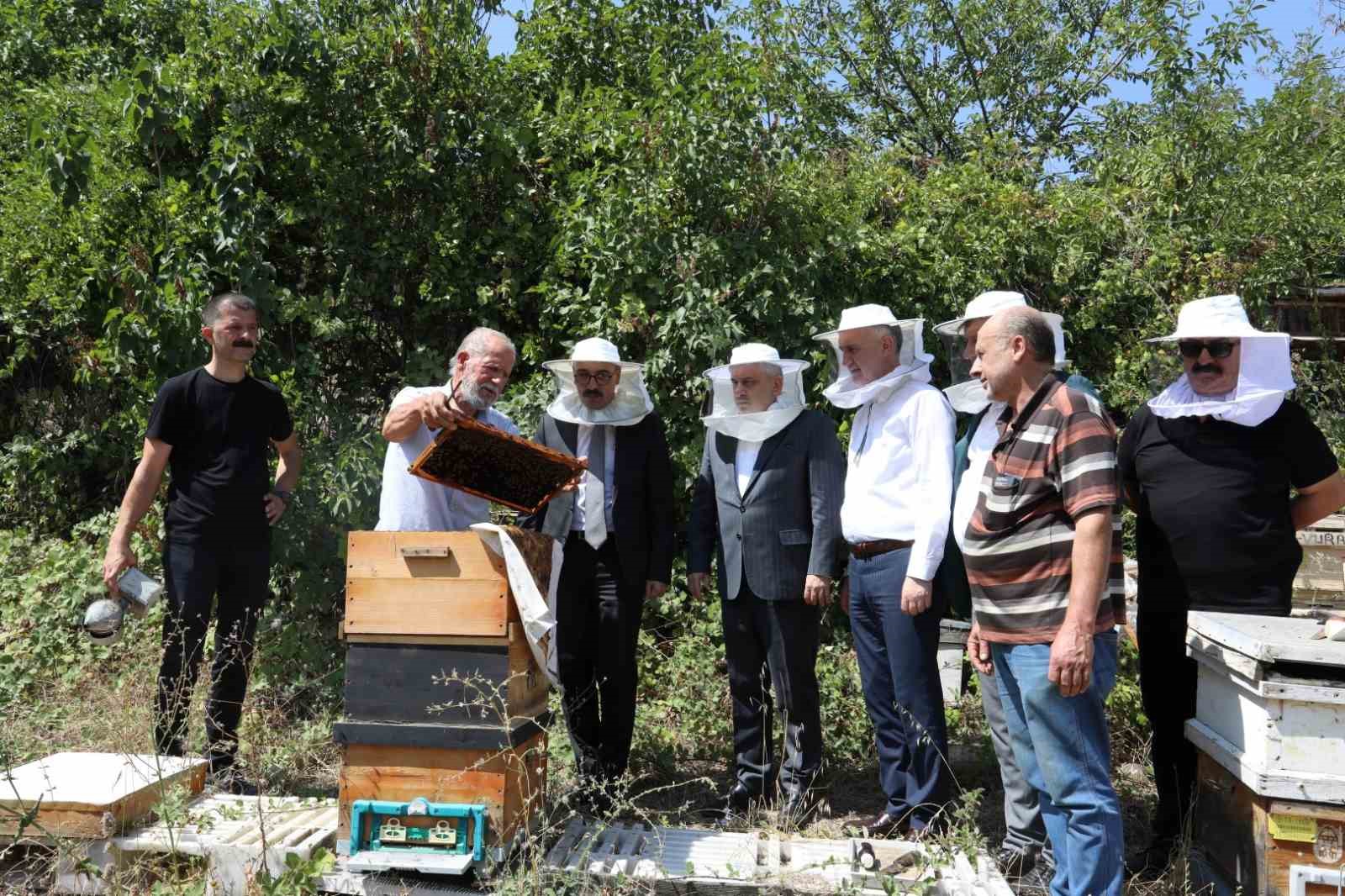 İnegöl bal üretiminde vites yükseltti
