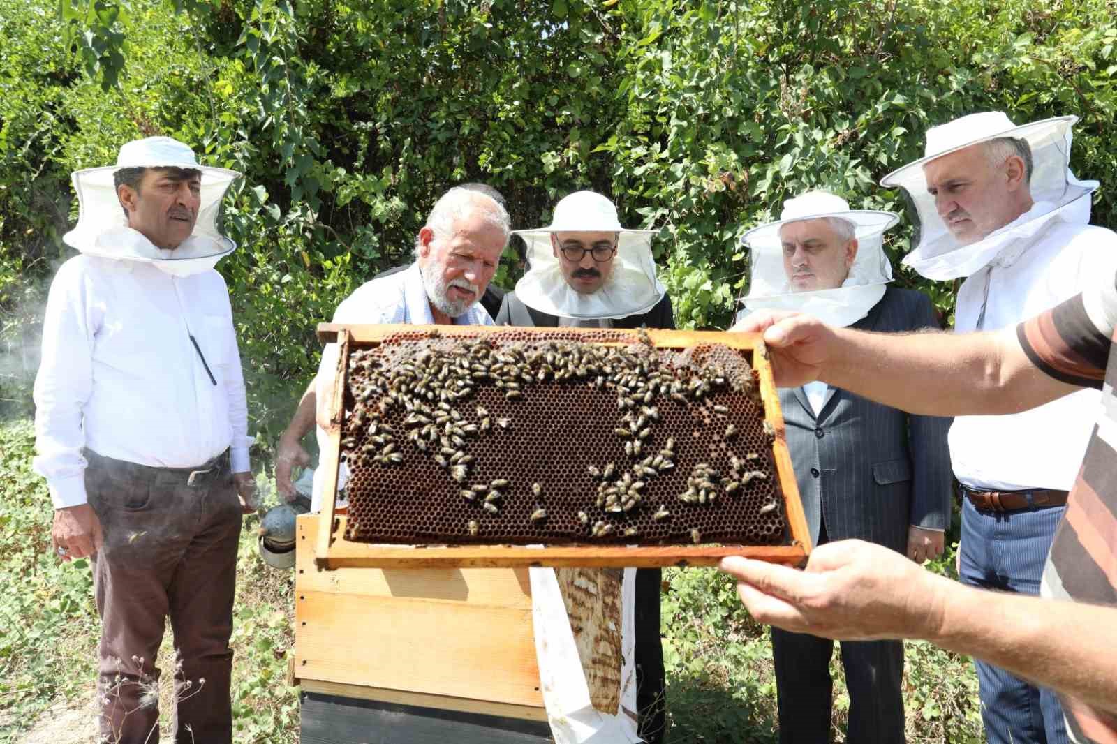 İnegöl bal üretiminde vites yükseltti
