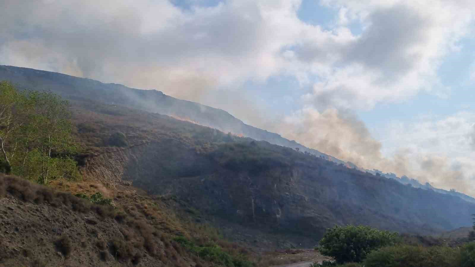 Sinop’ta örtü yangınında 5 hektar alan zarar gördü
