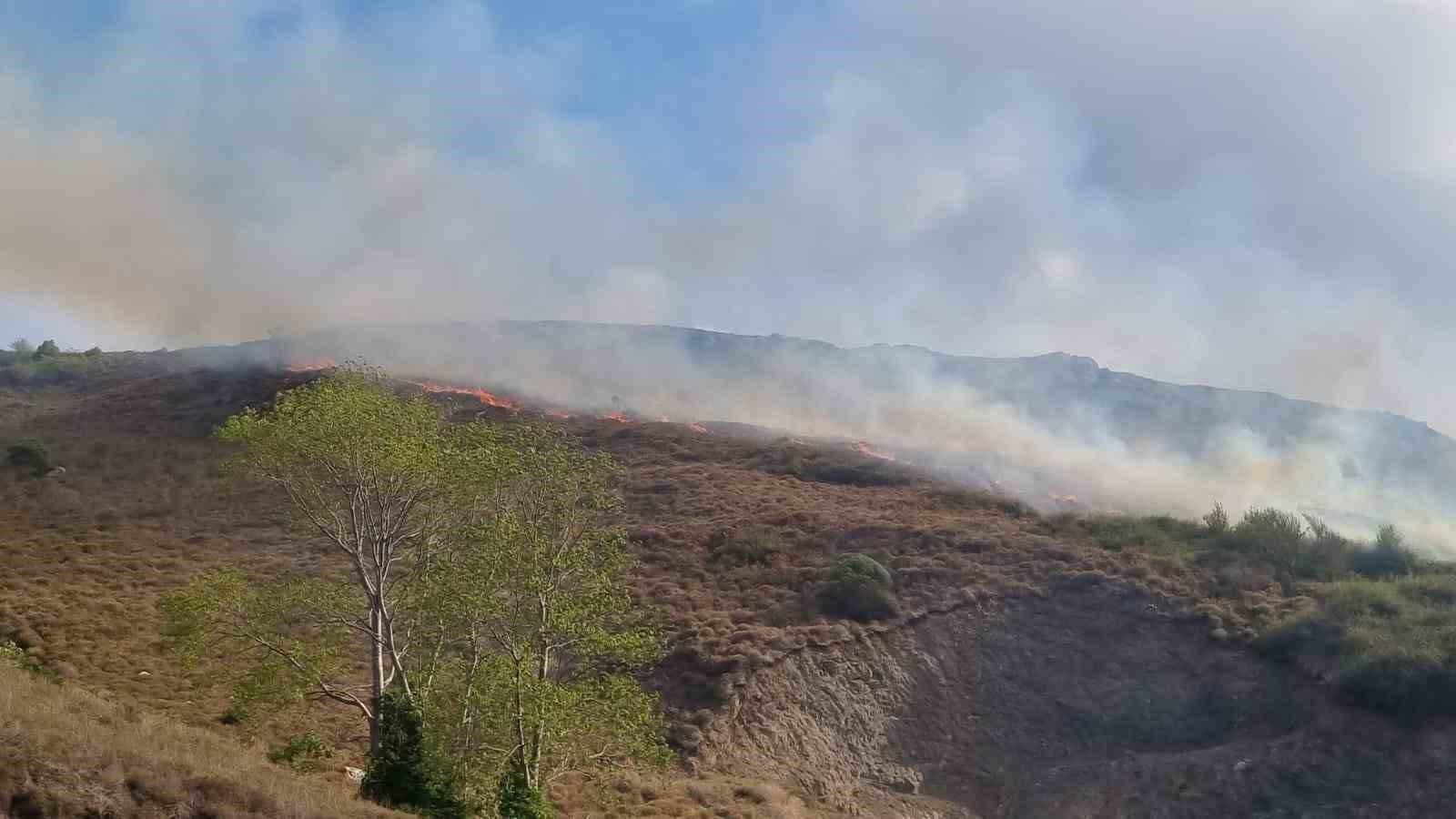 Sinop’ta örtü yangınında 5 hektar alan zarar gördü
