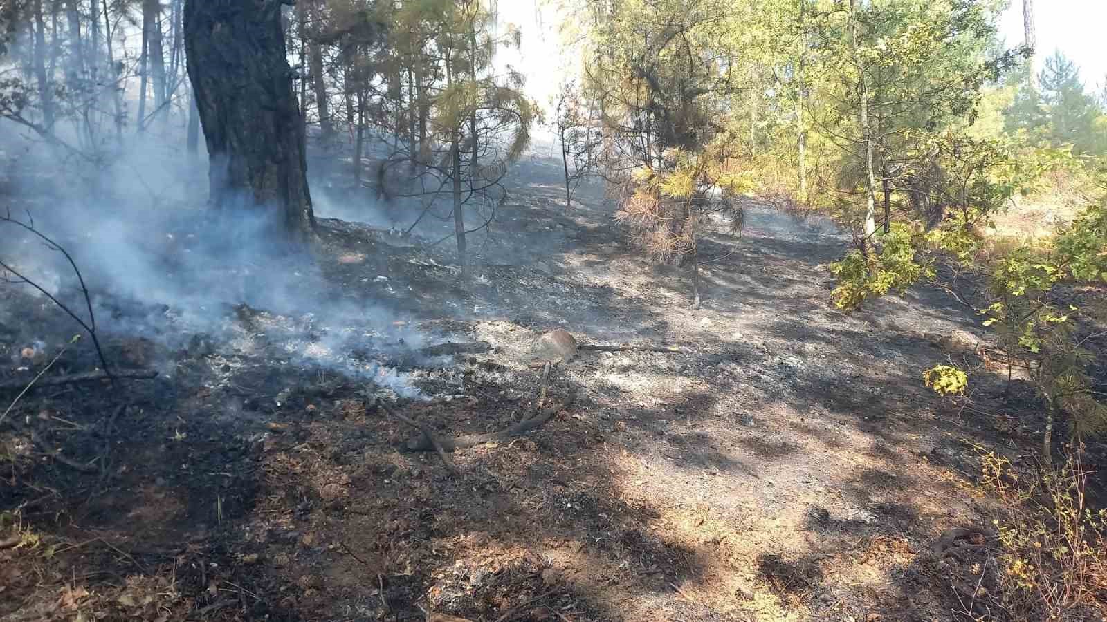 Aydın Kuyucak’taki orman yangını kontrol altına alındı
