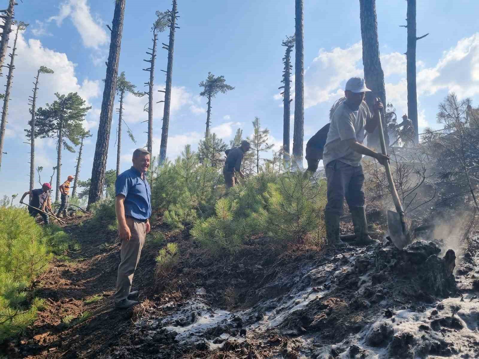 Aydın Kuyucak’taki orman yangını kontrol altına alındı
