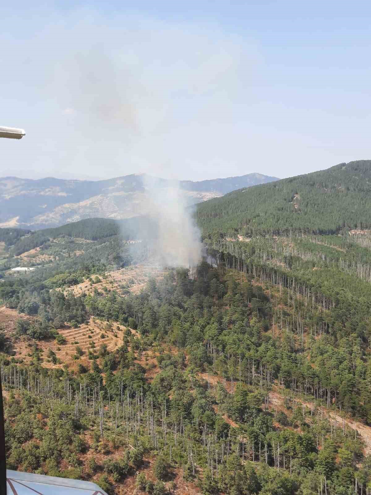 Aydın Kuyucak’taki orman yangını kontrol altına alındı
