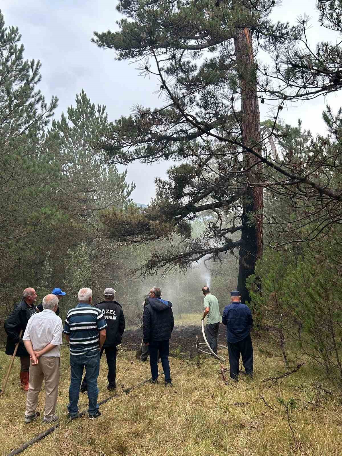 Yıldırımın düştüğü ormanlık alanda yangın çıktı
