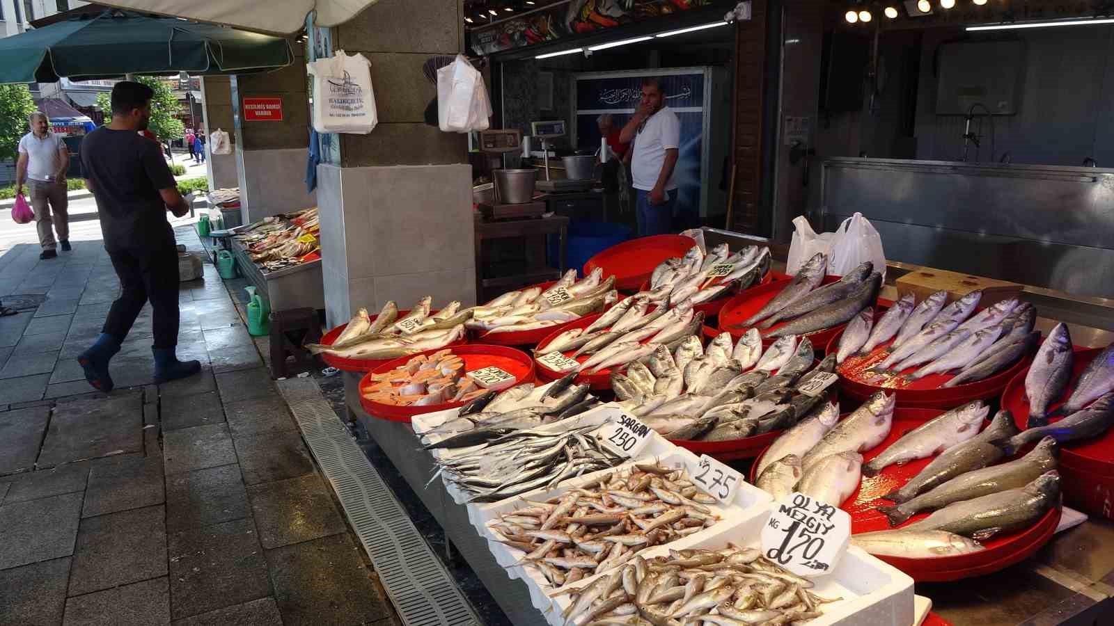 Karadeniz’de palamut bereketi
