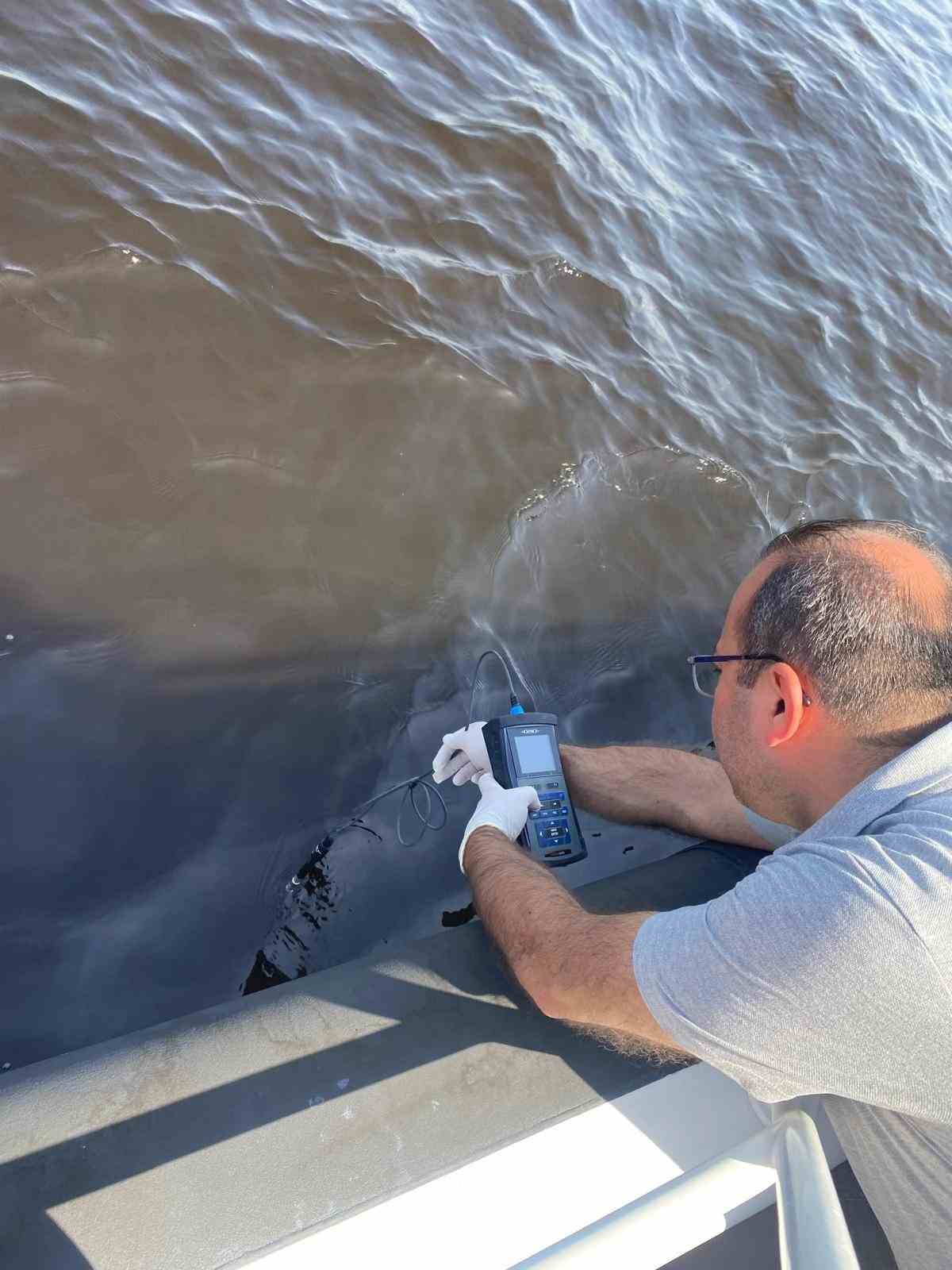 Çevre ve Şehircilik Bakanlığı’ndan İzmir Körfezi’ndeki balık ölümlerine inceleme
