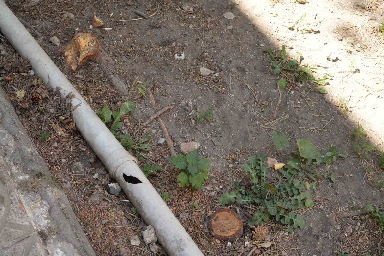 Bayburt Belediyesi türbedeki ağaçları kesti türbe çıplak kaldı
