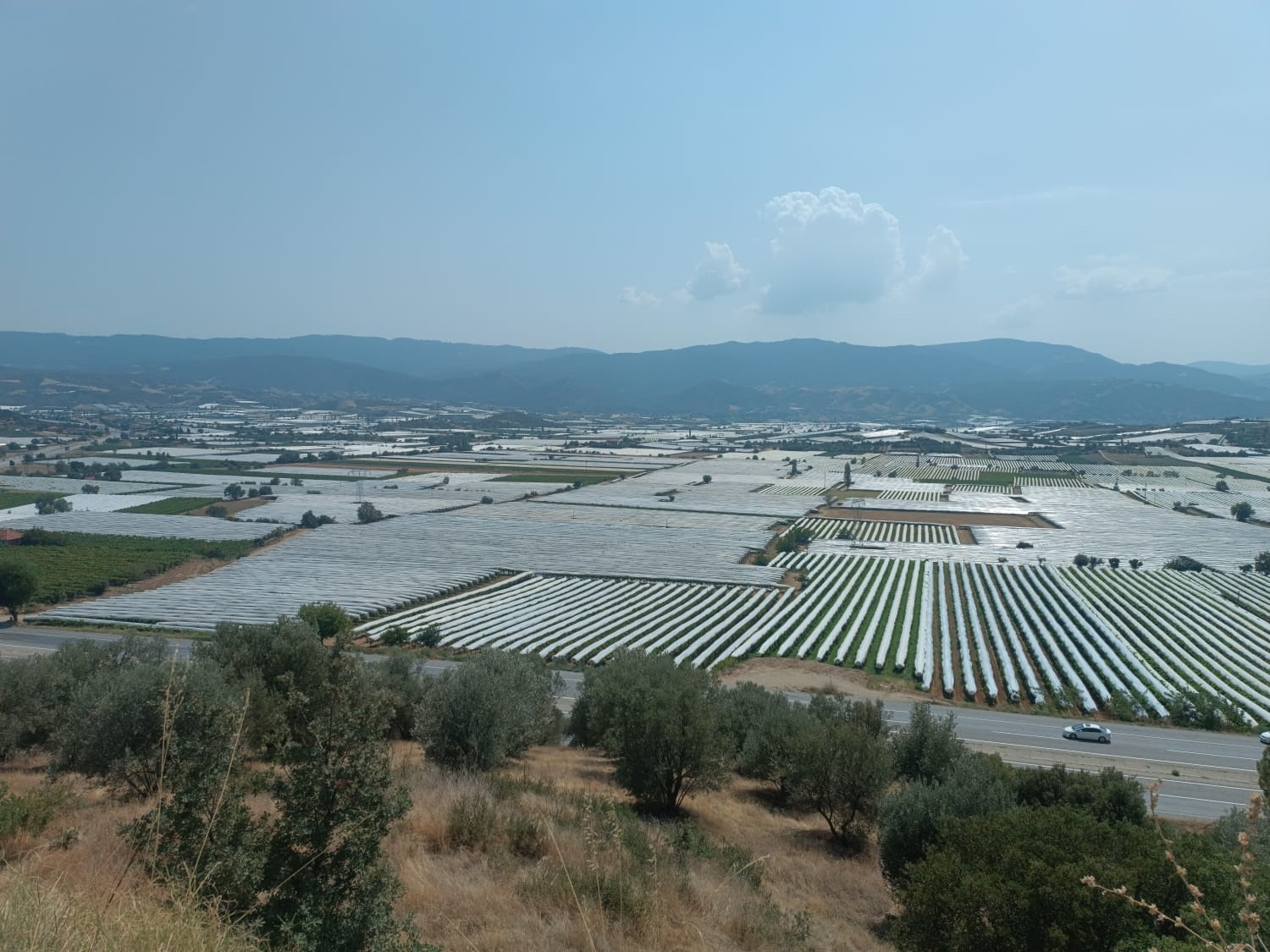 Sarıgöl ovası soğuk hava deposuna dönüştü
