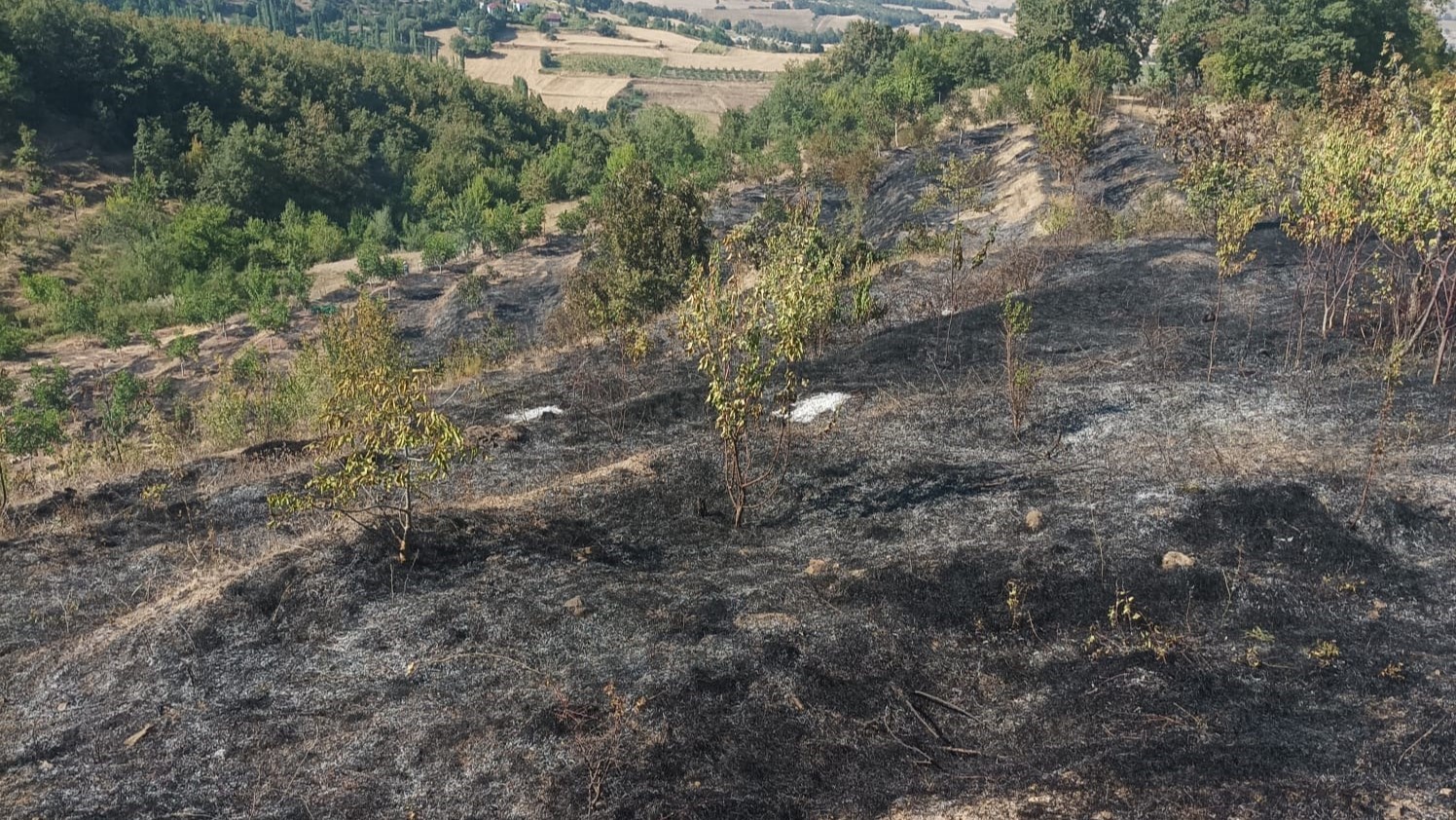 Amasya’da çıkan yangında 10 dönüm meyve bahçesi zarar gördü
