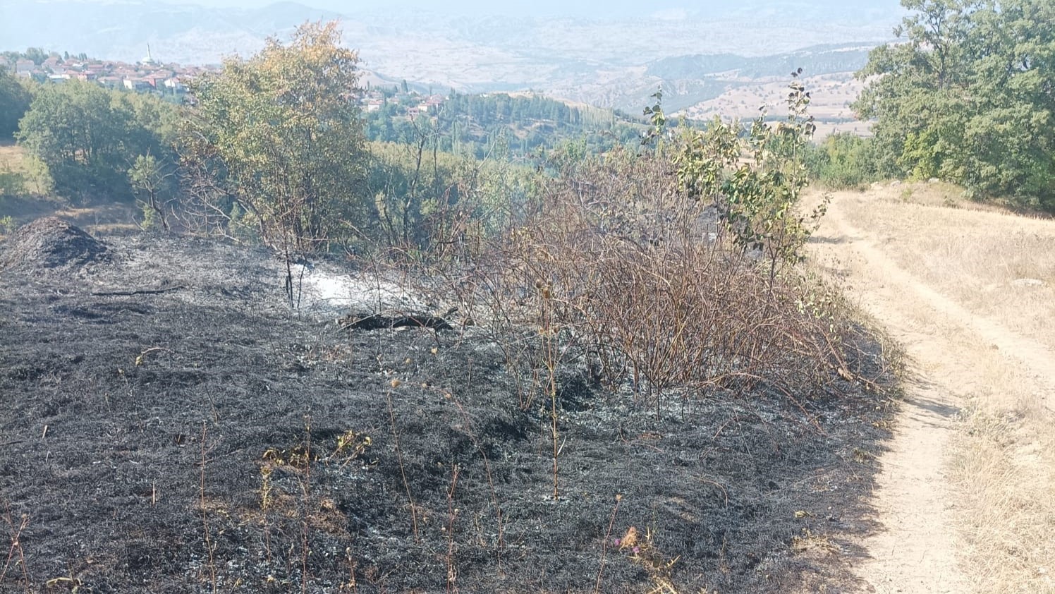 Amasya’da çıkan yangında 10 dönüm meyve bahçesi zarar gördü
