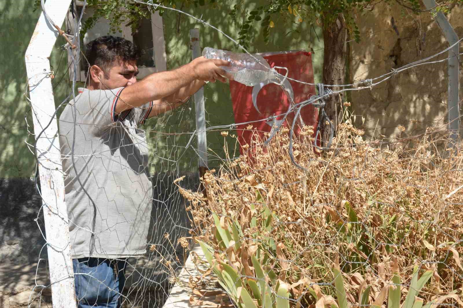 Evlerinin avlusunda 103 yıllık şehit yatıyor
