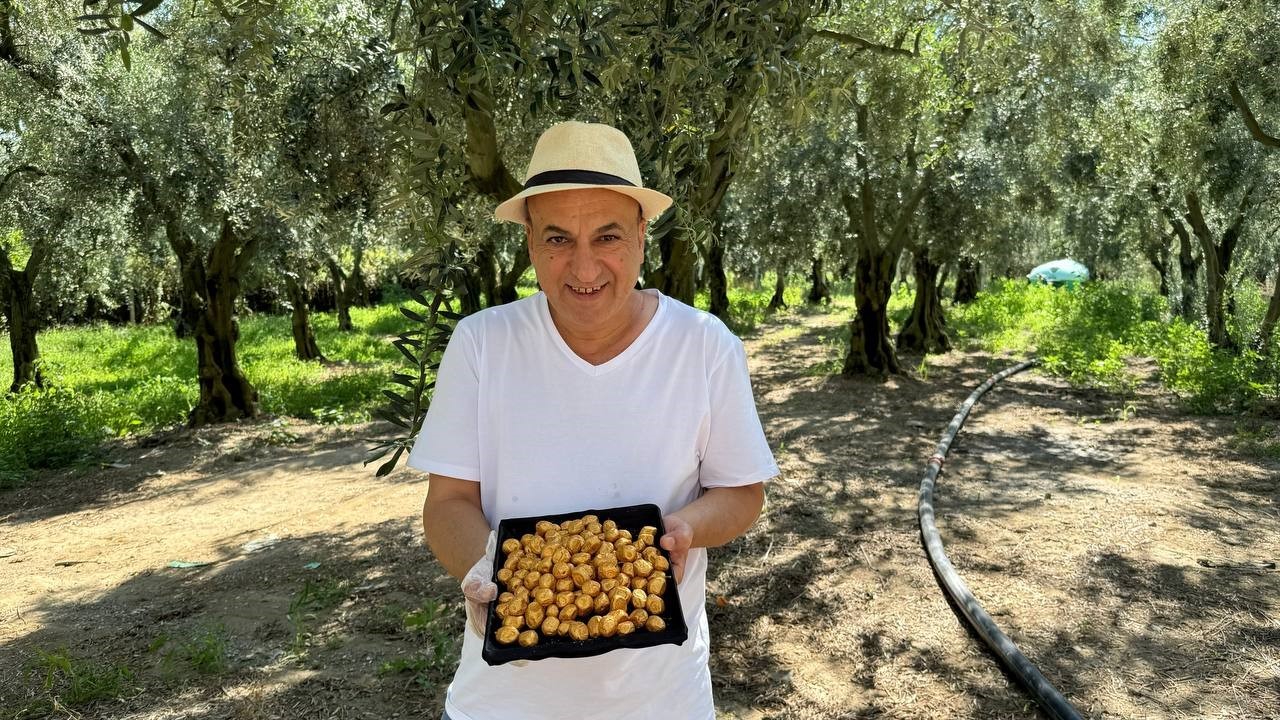 Bu da oldu... Altın kaplamalı zeytin yok satıyor
