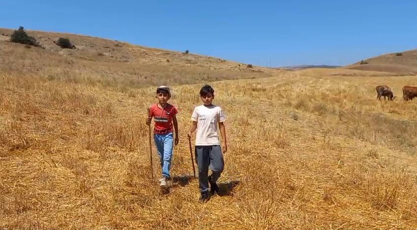 Bozkırın minik çobanları, biri polis diğeri sanayide usta olmak istiyor
