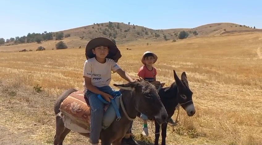 Bozkırın minik çobanları, biri polis diğeri sanayide usta olmak istiyor
