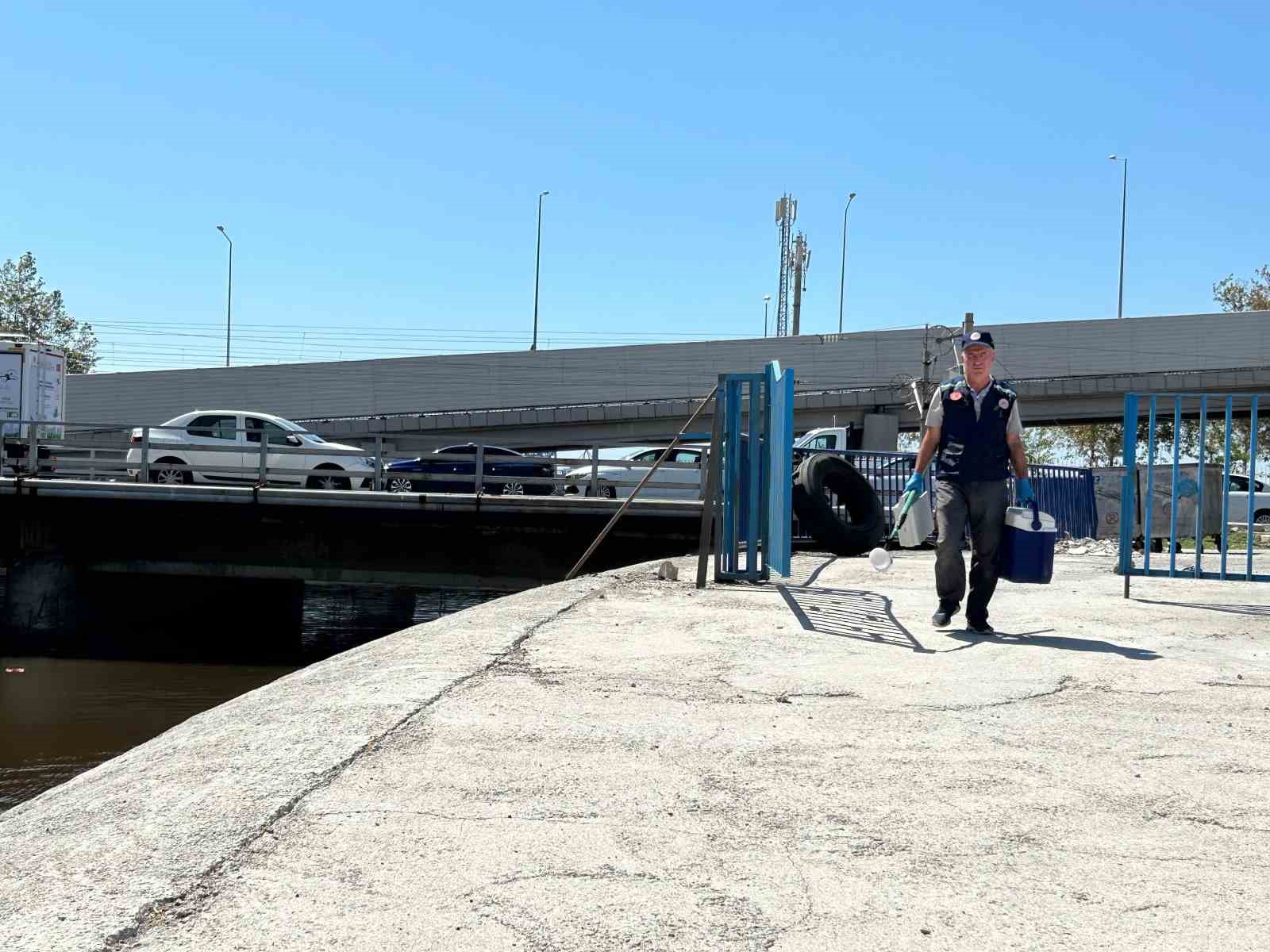 Bakanlık, İzmir Körfezi’ndeki balık ölümleri için bölgeden numune aldı
