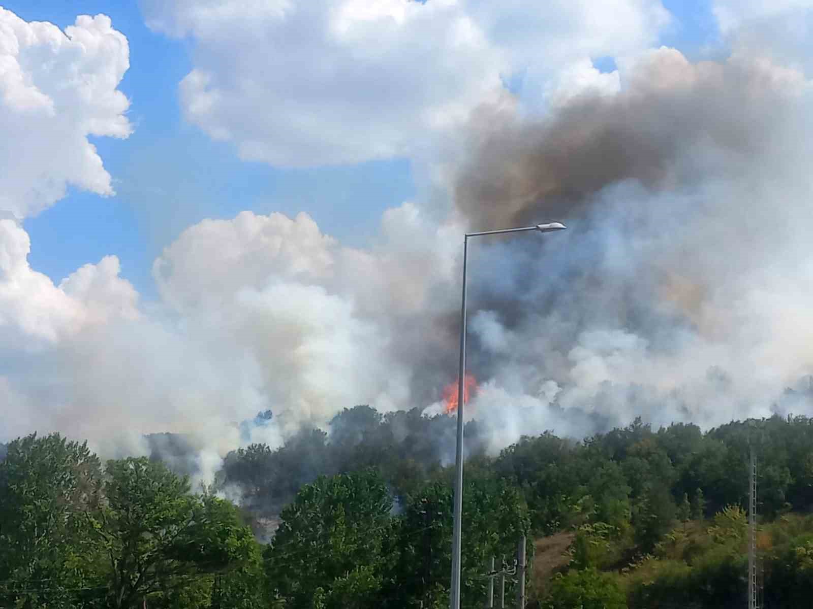 Bilecik’te çıkan otluk yangını kontrol altına alındı
